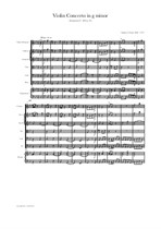 Zani: Violin Concerto in g minor