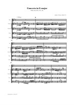 Zani: Flute Concerto in G