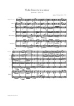Zani: Violin Concerto in a minor