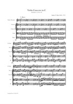 Zani: Violin Concerto in C