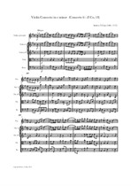 Zani: Violin Concerto in e minor