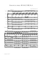 Vivaldi: Bassoon Concerto in e minor