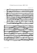 Bach: 2 violins Concerto in d minor