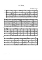 Arcadelt: Ave Maria (arranged for String Quartet)