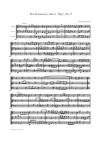 Corelli: Trio Sonata in e minor