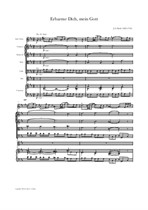 Bach: Erbarme dich (Aria Nr.47 aus Matthäuspassion)
